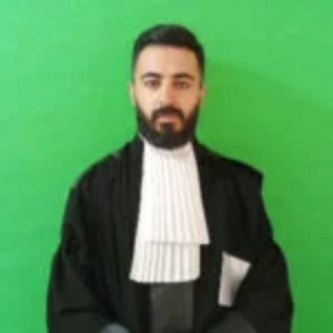 بهزار محمدی نسب بهترین وکیل بین المللی در تهران