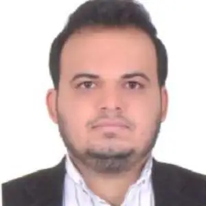 مجتبی کرچی