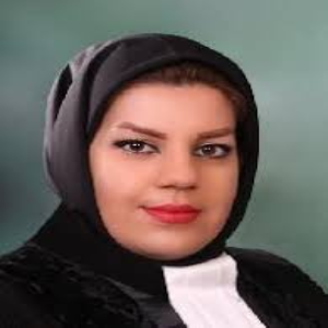 سولماز زائری وکیل اراک