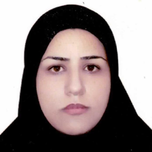 وکیل نجمه میرزایی بهترین وکیل یزد
