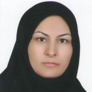 هما حسینی بهترین وکیل ملکی در بوشهر