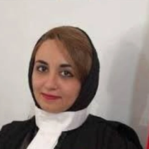 مبینا رجبی بهترین وکیل کیفری گرگان