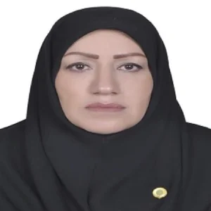 نیره برومند ابراهیمی وکیل کیفری در مشهد