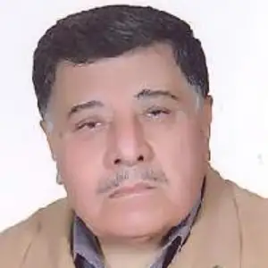 لطف الله نیک بین