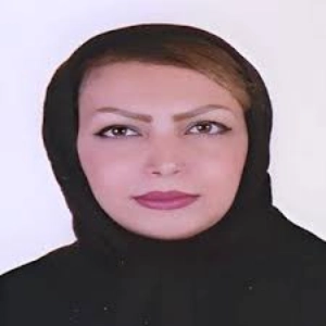 مینا اسلامی بهترین وکیل زن کرمان