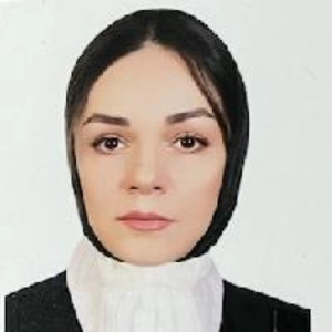 لنا خاقانی بهترین وکیل کیفری در زنجان