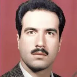 مهدی بنی اسدی بهترین وکیل طلاق در بیرجند