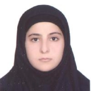 مهری ناصری بهترین وکیل کیفری در بجنورد