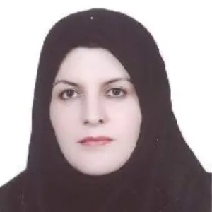 آذر رضوی بهترین وکیل طلاق در یاسوج