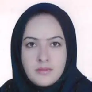 بهجت سلطانی بهترین وکیل سقز
