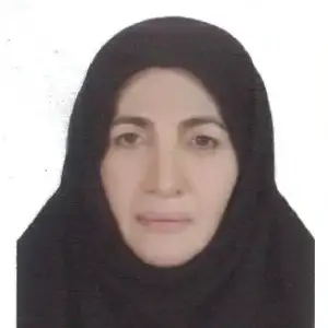 فاطمه پارسائی بهترین وکیل خانواده در جنوب تهران