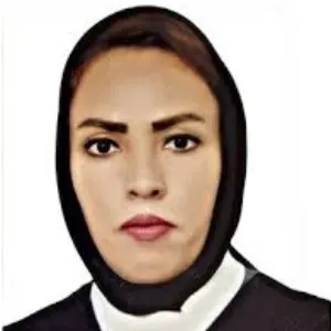 الهام زین الدینی بهترین وکیل رفسنجان