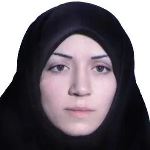 مریم کمیلی بهترین وکیل کیفری در بیرجند