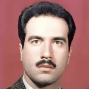 مهدی بنی اسدی بهترین وکیل کیفری در بیرجند