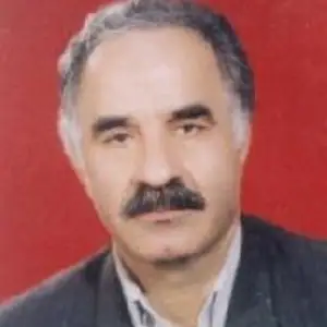 علی رضائی بهترین وکیل کیفری در بابل