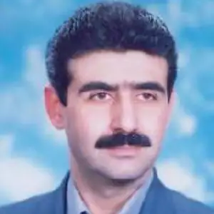 محمد ارزانی بهترین وکیل خانواده در بابل
