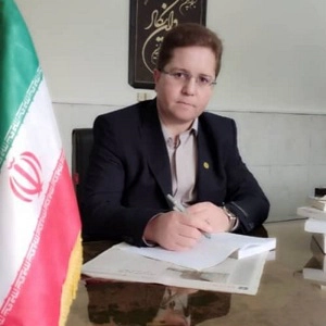 رضا جمشیدی بهترین وکیل ملکی در سعادت آباد