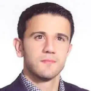 وحید مددی بهترین وکیل میانه
