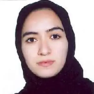 زهرا حسین ادیبی بهترین وکیل جیرفت