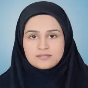 دینا توسلی نیا بهترین وکیل زابل