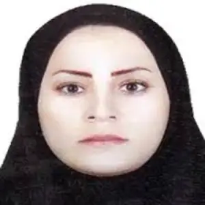 ماندانا جنگلی بهترین وکیل کیفری در ایلام