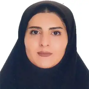 فریبا امینی بهترین وکیل ابهر