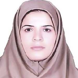 خدیجه حسینیان - بهترین وکیل ملکی در محمودآباد