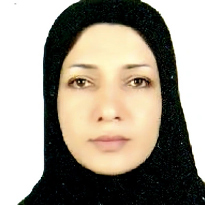 لیلا احمدنژاد - بهترین وکیل ملکی در محمودآباد