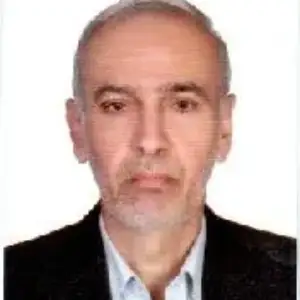 سیدمحمدحسین بهادر بهترین وکیل برازجان