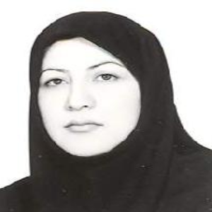 فاطمه محقق بهترین وکیل زن در دزفول
