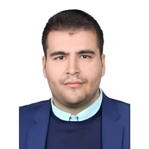 سید امیر رسول معین زاده بهترین وکیل مهریه در کرمان