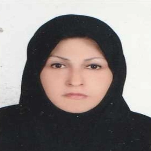 شیوا شفیع‌زاده بهترین وکیل ستارخان