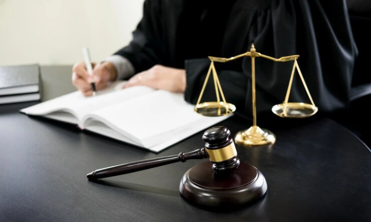 وظایف وکلای دوگنبدان در هر پرونده چیست؟