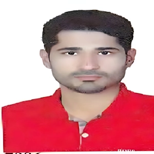 مرتضی برزگر گلستان - بهترین وکیل پایه یک دادگستری در قزوین