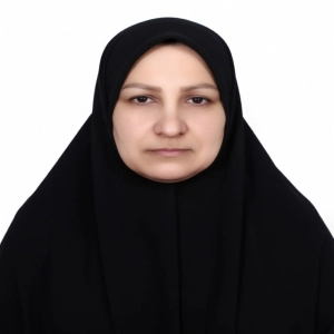 حمیرا صادقی نوپاشانی - بهترین وکیل ملکی در صومعه سرا