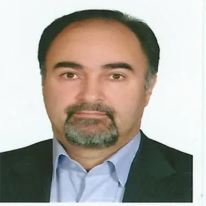 ناصر کرمی بهترین وکیل خانواده در مرکز تهران