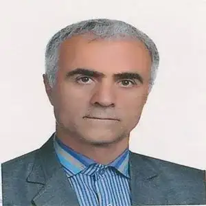 روح اله عدل خواه بهترین وکیل طلاق در مرکز تهران