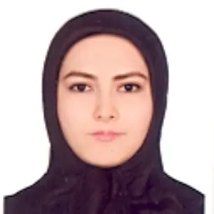 ثمین یوسف ابادی بهترین وکیل جرائم اقتصادی در تهران