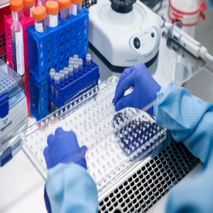 آزمایشگاه DNA پزشکی قانونی اردبیل