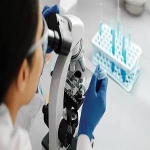 آزمایشگاه DNA پزشکی قانونی بندرعباس