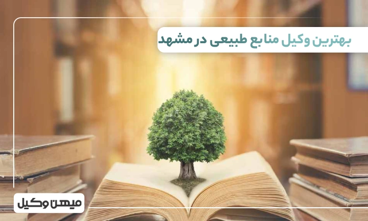 بهترین وکیل منابع طبیعی در مشهد