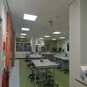 پزشکی قانونی کالبد شکافی
