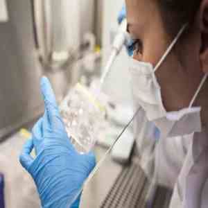 آزمایشگاه dna پزشکی قانونی اهواز