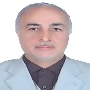 منصور امیرزاده جیرکلی بهترین وکیل ملکی در تربت حیدریه