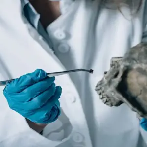 دندان پزشکی قانونی رشت